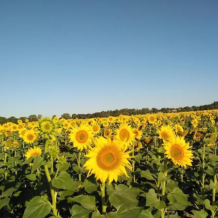 Maison Delmas, L'oustal Du Recantu *