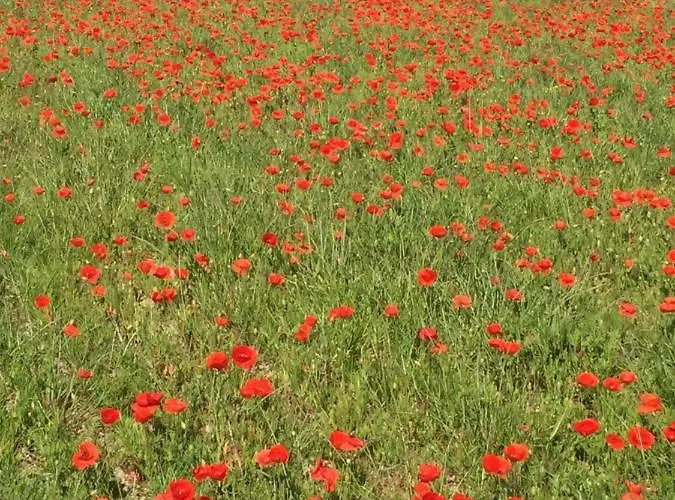 別荘 Maison Delmas, L'oustal Du Recantu *