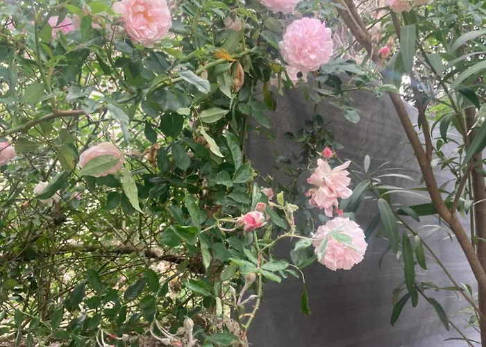 Maison Delmas, L'oustal Du Recantu 別荘 *